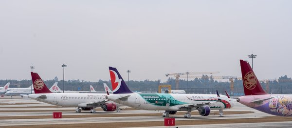 Experience stunning scenery: explore dorset's majestic coastal cliffs through your camera!